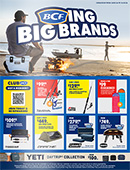 BCFing-Big-Brands