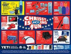 Chrissy is BCFing Fun Gift Guide