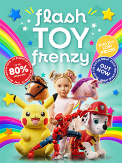 Flash TOY Frenzy