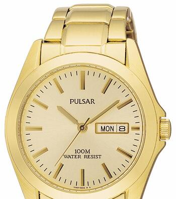 Pulsar Mens Watch (Model:PJ6002X)