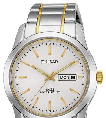 Pulsar Men's Watch (Model: PJ6023X)