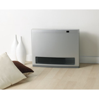 Avenger 25MJ NG P/Silver Heater Unflued