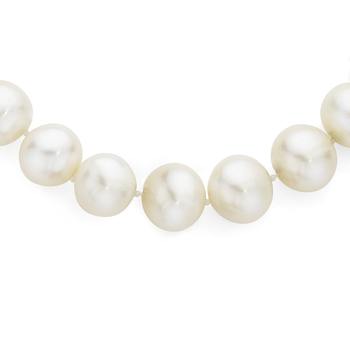 9ct Gold 50cm Cultured Fresh Water Pearl Necklace
