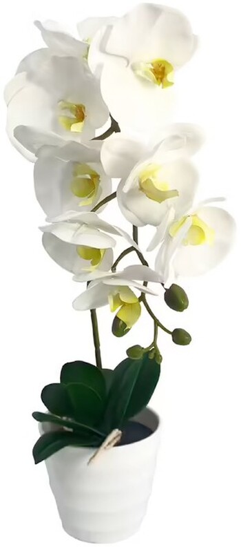 Botanica Artificial Orchid 40cm