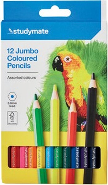 Studymate Coloured Jumbo Pencils 12 Pack