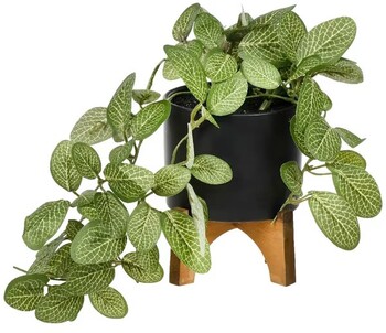 Otto Footed Plant Pot with Artificial Plant