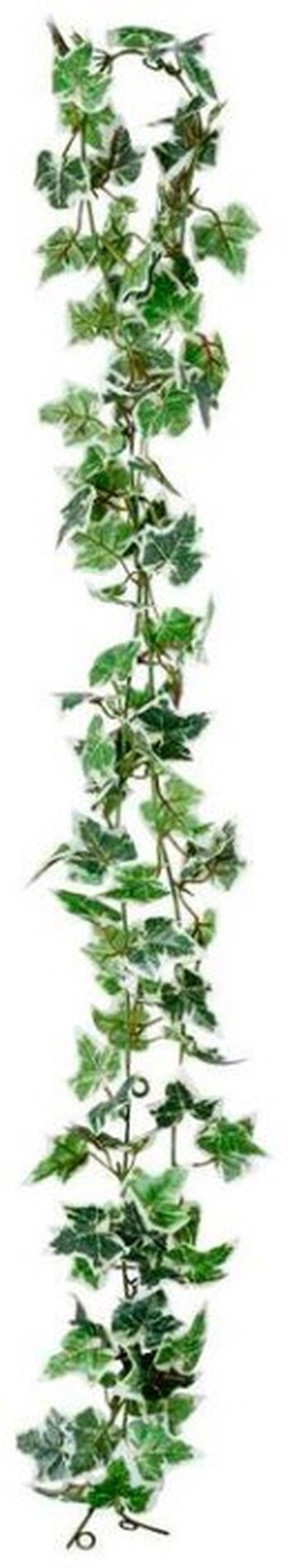30% off Ivy Garland Multi 6ft