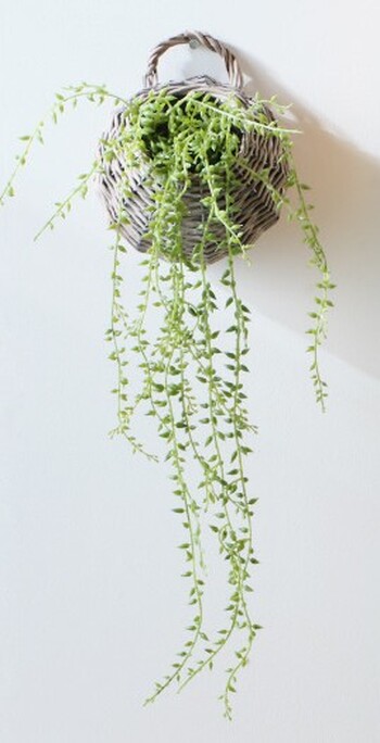 30% off Plant In Hanging Basket Green 55cm