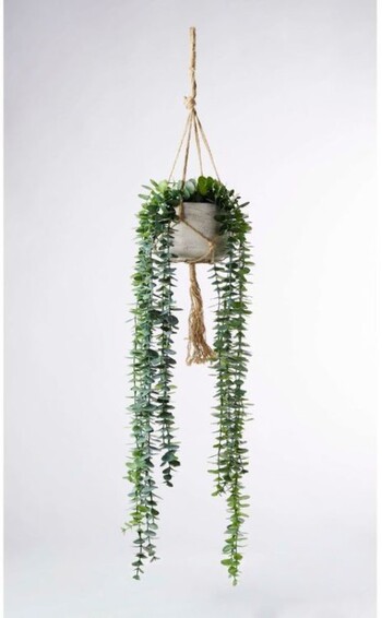 30% off String of Pearls in Hanging Pot, Green 105cm
