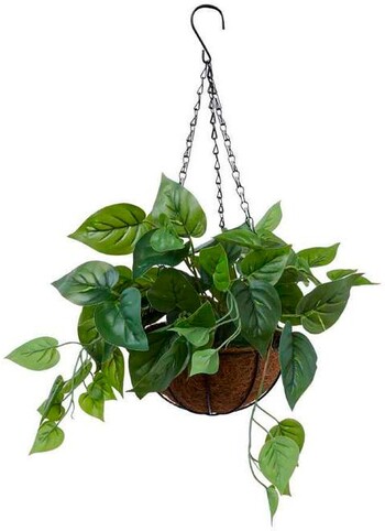 30% off Ivy Hanging Pot with Palm Pot, Green 15 x 19.5cm