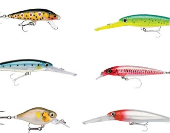 15% off Lures by Rapala