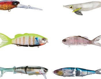 15% off Lures by Shimano