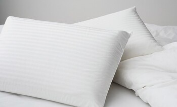 Dunlopillo Luxurious Latex Medium Profile and Soft Feel Standard Pillow