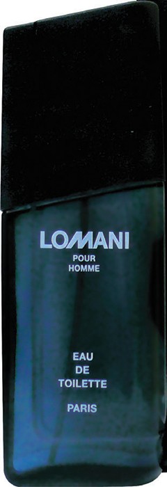 Lomani Pour Homme 100mL EDT