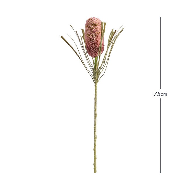 Artificial Dried Banksia Stem by M.U.S.E.