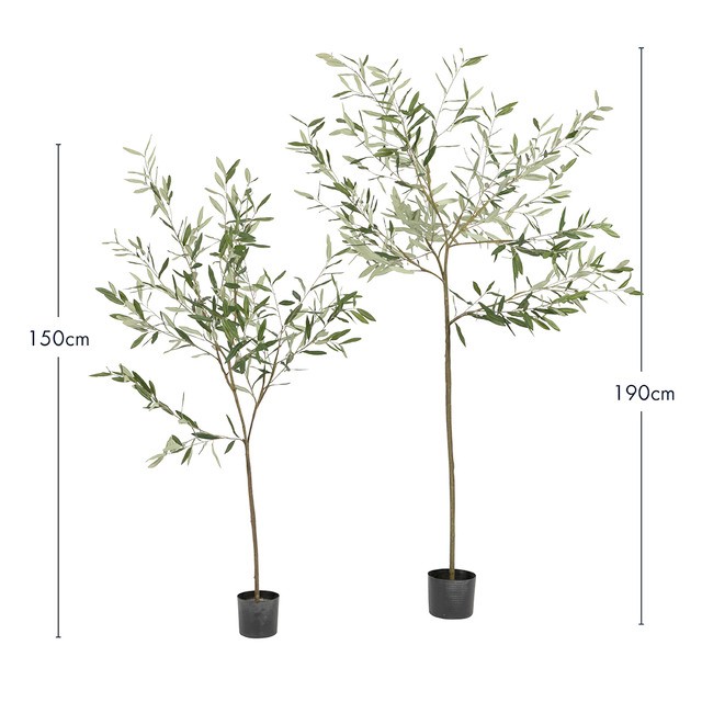 Fruitless Olive Tree by M.U.S.E.