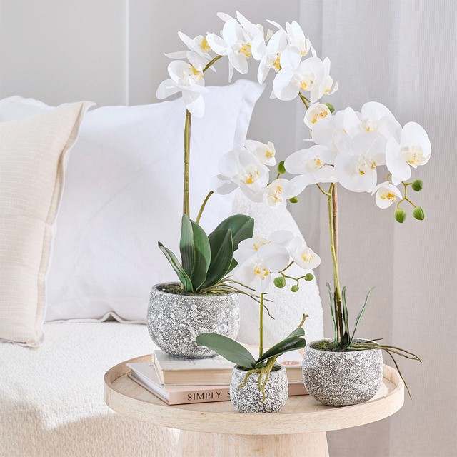 Artificial Phalaenopsis White Orchid in Pot by M.U.S.E.