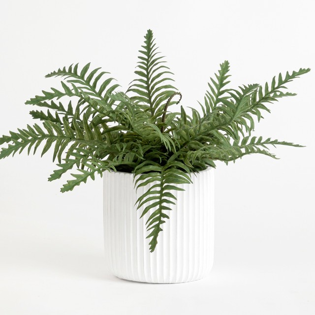 Artificial Elly Potted Fern Plant by M.U.S.E.