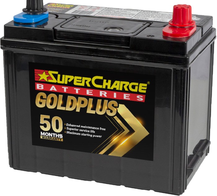 Supercharge Gold Plus Batteries