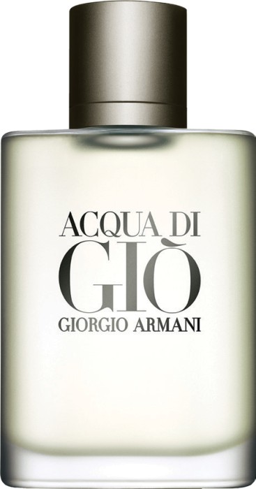 Giorgio Armani Acqua Di Gio Pour Homme 100mL EDT