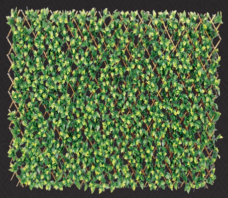 Expanding Laurel Leaf Trellis 180x90cm