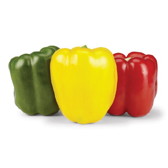 Australian Red, Green or Yellow Capsicums