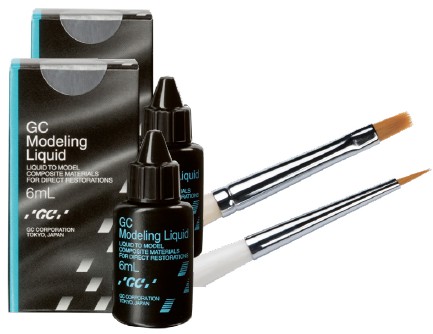 GC Modeling Liquid and Brushes Bundle