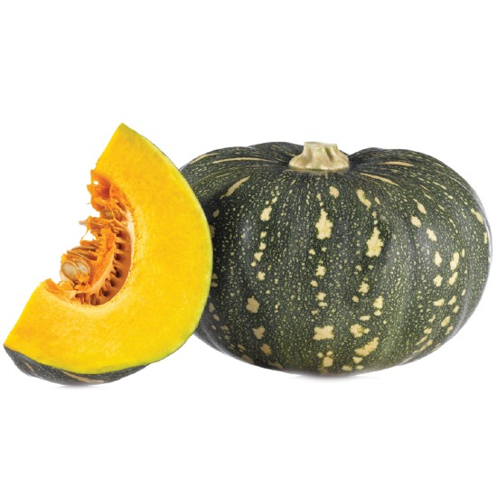 Australian Kent Pumpkin