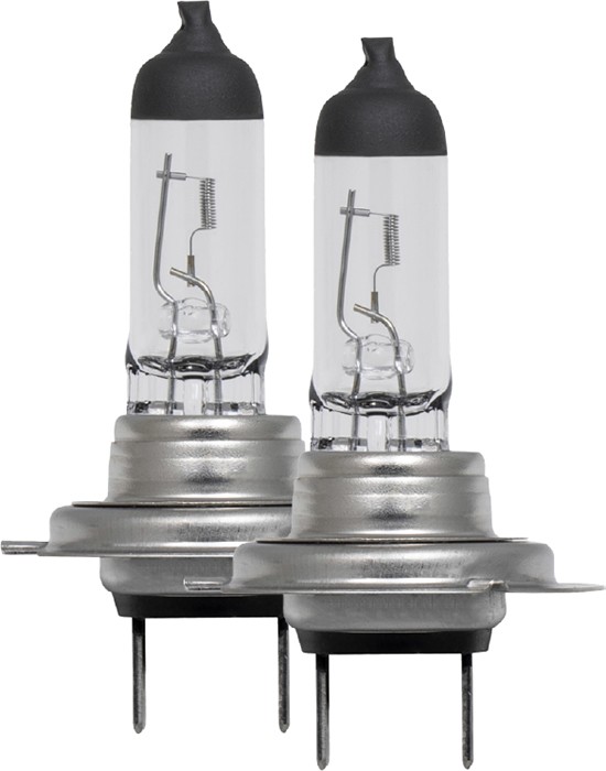 Voltage Long Life Headlight Globes Single Pack & Twin Pack
