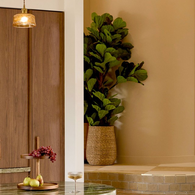 Fiddle Leaf Tree by M.U.S.E.