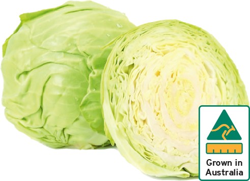 Australian Green Cabbage