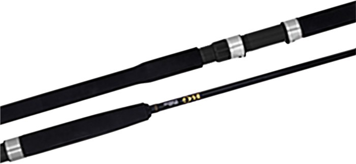15% off Daiwa BG Bluewater Rods