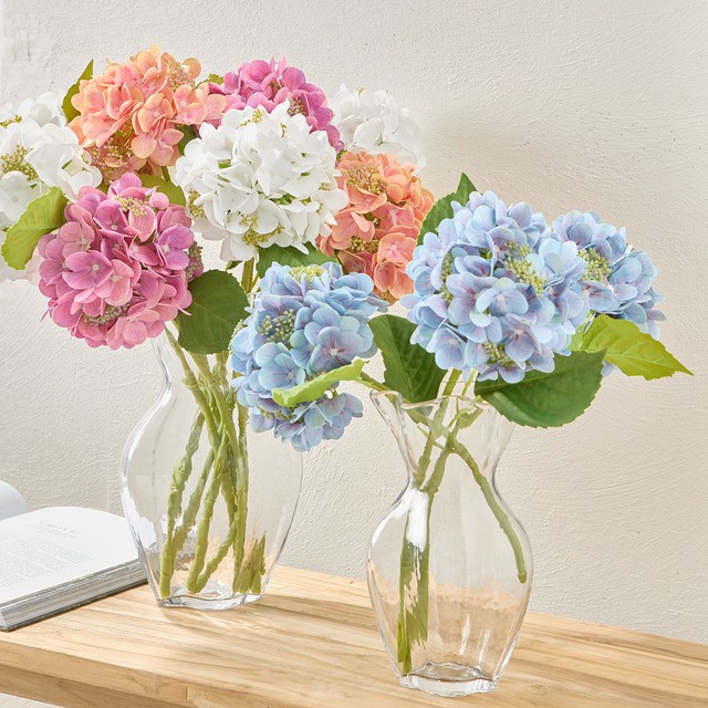Budding Hydrangea Stem by M.U.S.E.