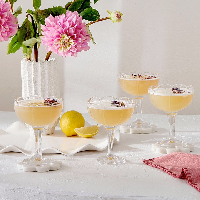 Lilly Cocktail Coupe 4 Pack by M.U.S.E.