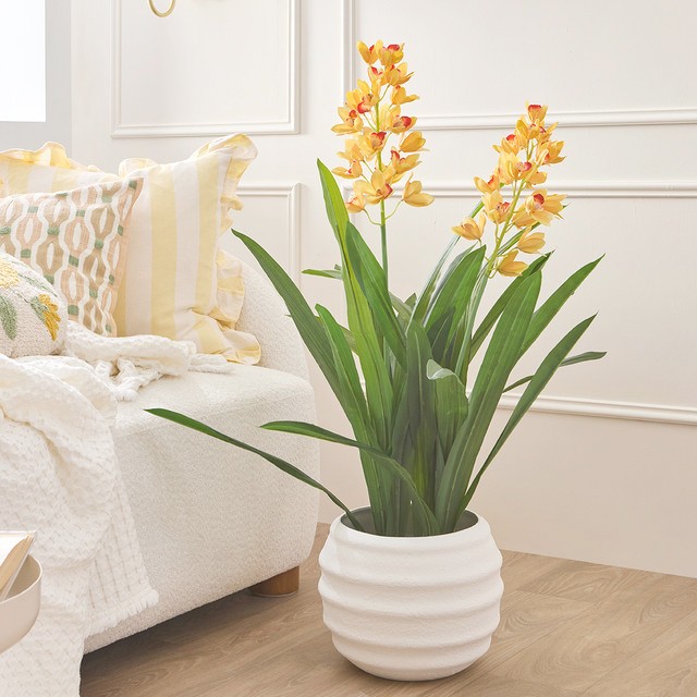 Spring Vanda Potted Plant by M.U.S.E.
