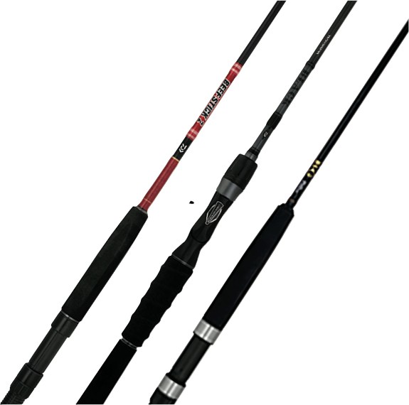 20% off Regular Price on These Daiwa Rods by BG Bluewater, Td Black & Beefstick Z