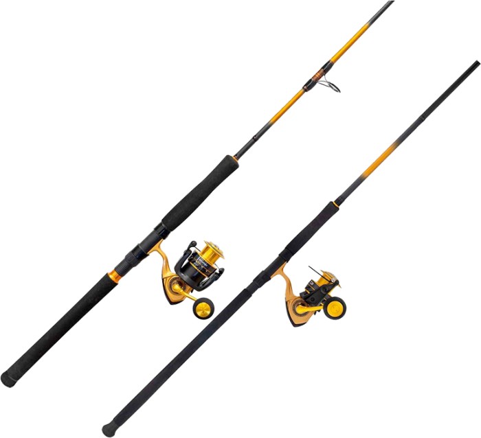 Daiwa SURF & SW