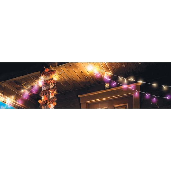 Halloween BO Lights Assorted Pk 200