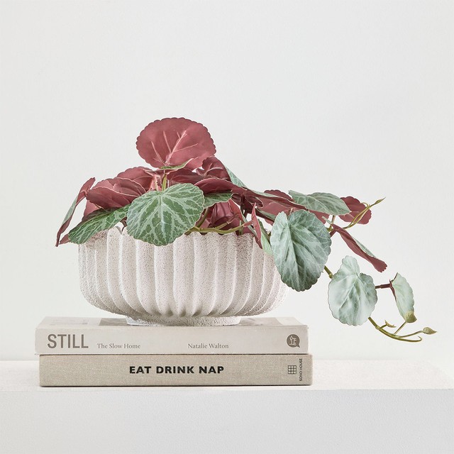 Reef Decorative Bowl by M.U.S.E.