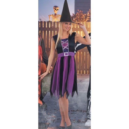 Halloween Costume Adult Purple Witch