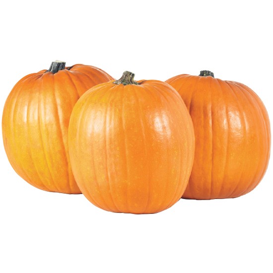 Australian Halloween Pumpkin