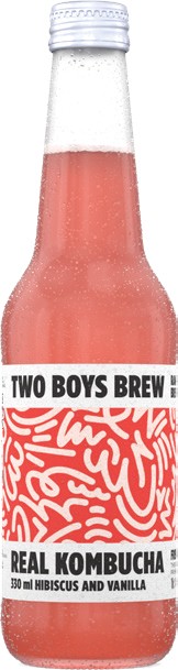 Two Boys Brew Kombucha 330mL Selected Varieties