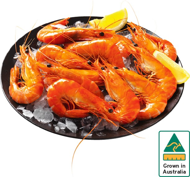 Australian Extra Large Cooked Tiger Prawns