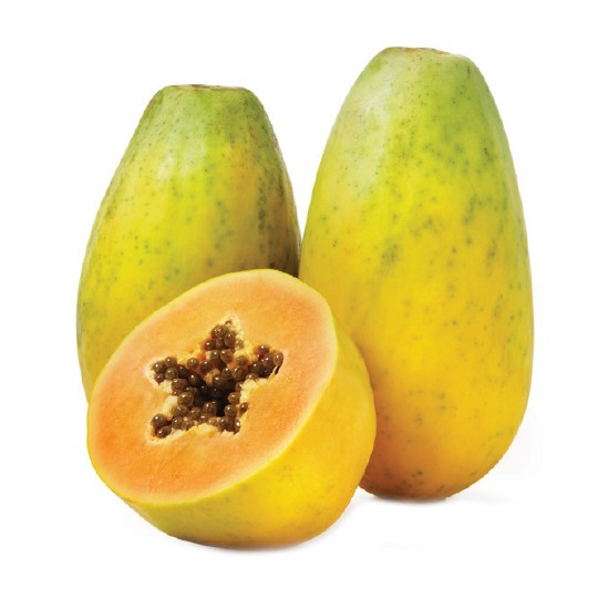Australian Red Papaya