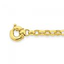 Solid-9ct-Gold-19cm-Oval-Belcher-Bracelet-with-Bolt-Ring Sale