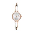 DKNY-Crosswalk-Ladies-Watch Sale