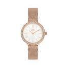 JAG-Ladies-Annie-Rose-Tone-EXCLUSIVE-watch Sale