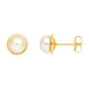 9ct-Gold-Cultured-Freshwater-Pearl-Gold-Framed-Stud-Earrings Sale