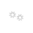 Sterling-Silver-Radiating-Cubic-Zirconia-Stud-Earrings Sale