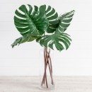 Monstera-Plant-by-MUSE Sale